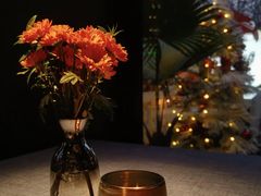 -弦月窗LUNETTE BY AMANDA(复兴路店)