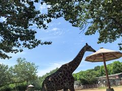 -大连森林动物园