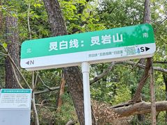 -灵岩山风景区
