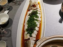 -湯記傳菜