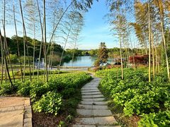-宜兴龙背山森林公园