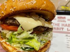 -The Habit Burger Grill 哈比特汉堡(爱琴海店)