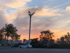 -星光岛
