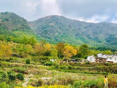 -塔川景区