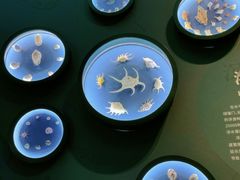 -中国湿地博物馆