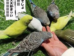 -绿色星球动物主题公园