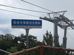 -牛背梁国家森林公园