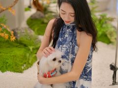 -帕帕拉兹宠物(亚洲旗舰店)