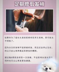 -Bollins波林丝•专研护发中心