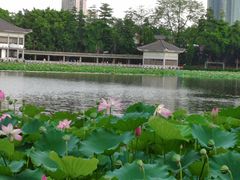 -荔湾湖公园