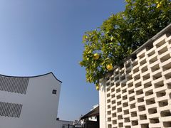 -东梓关景区村庄