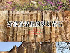 -元谋土林景区(物茂土林)