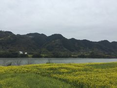 -新安江山水画廊风景区