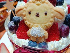 -EnergyCake蛋糕理想国