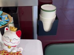 -顺强宠物诊所·狂犬免疫·夜诊·骨科(嘉定店)