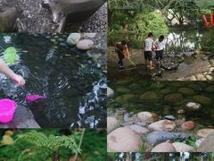 -成都市活水公园