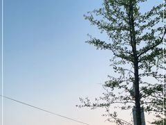 -丁香湖公园