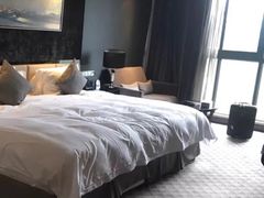 -常州环球恐龙城维景国际大酒店