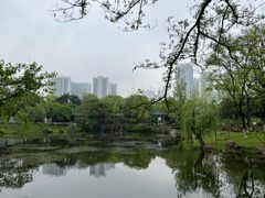 -月湖风景区