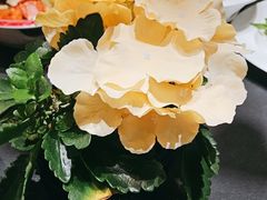 -曼格纳·曼芯馆(杨浦店)