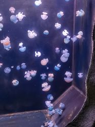 -Zoolung Zoolung动物主题公园(海信广场店)