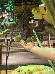 -酷嗒动物文化乐园(cutezoo西溪乐天城店)