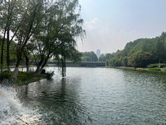 -滨湖塘西河公园