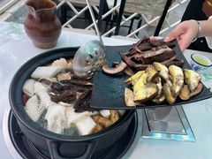 -蘑统田下·野生菌火锅