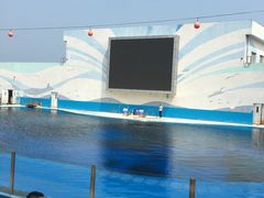 -北戴河圣蓝海洋公园