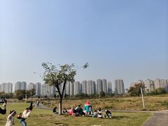 -洋湖国家湿地公园