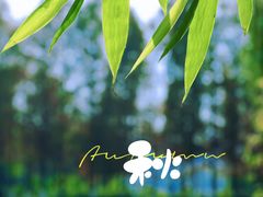 -金银湖国家城市湿地公园