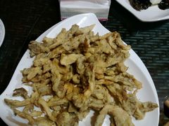 -草根堂农场