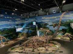 -自贡恐龙博物馆