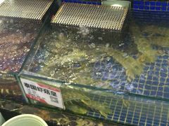 -欢乐海岸美食联盟