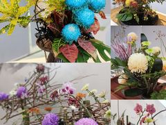 -杭州植物园