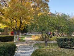 -高庙保安寺