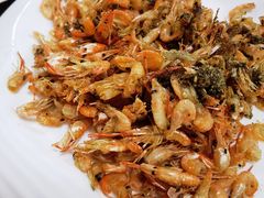 -溢心园香河肉饼总店