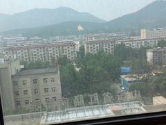 -山东省千佛山医院
