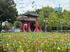 -四川大学(望江校区)