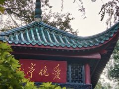 -饭怕鱼·黄焖鲟龙鱼(湖大店)