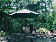 -厦门日月谷温泉渡假村