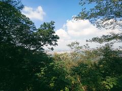 -紫金山山顶公园