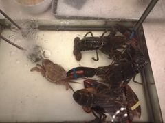 -佰园全日西餐厅-厦门佰翔软件园酒店