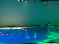 -上海海昌海洋公园-停车场
