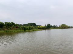 -东郊湿地公园