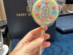 -Harry Winston 海瑞温斯顿