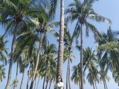 -白沙门生态公园