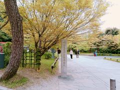 -宇治市源氏物语博物馆