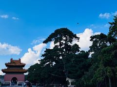 -北陵公园