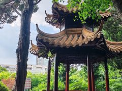 -嘉定紫藤园